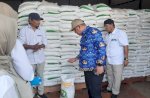 Pj Wali Kota Palopo Sidak Bulog, Cek Kualitas Beras Jelang Lebaran