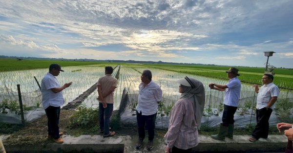 Optimalisasi Lahan di Lampung, Kementan-TNI Terjun ke Lapangan Setiap Hari