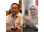 Awas! Penipu Catut Nama Bupati Lutra dan Anggota DPR RI Muh Fauzi Telan Korban, Merugi 17,5 Juta