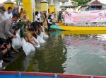 Penjabat Gubernur Sulsel Kunjungi Soppeng, Tebar 160 Ribu Benih Ikan di Salomate