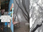 Viral Warung Suguhkan Pemandangan Hutan Bak di Film Harry Potter 
