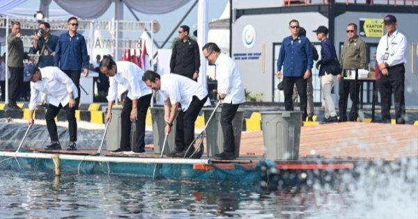 Permintaan Global Dianggap Sangat Besar, Jokowi Resmikan Modeling Tambak Ikan Nila