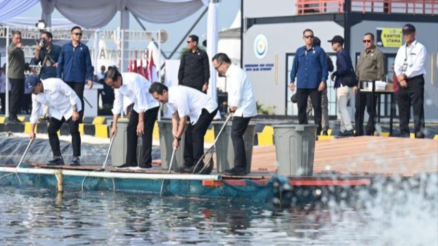 Permintaan Global Dianggap Sangat Besar, Jokowi Resmikan Modeling Tambak Ikan Nila 