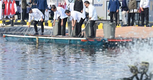 Penambak Ikan Nila Harus Makin Semangat, Permintaan Luar Negeri Sangat Tinggi