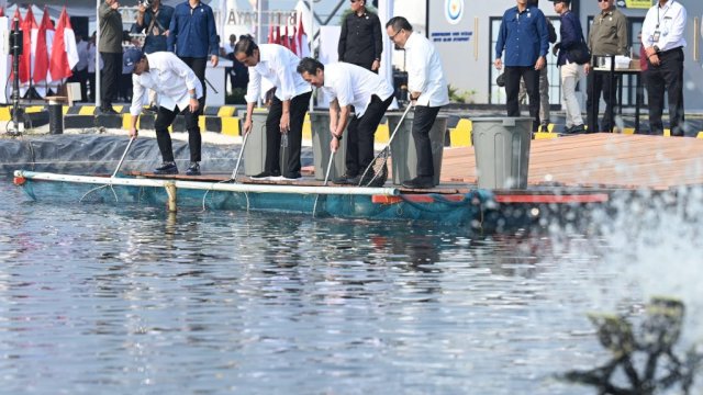 Penambak Ikan Nila Harus Makin Semangat, Permintaan Luar Negeri Sangat Tinggi