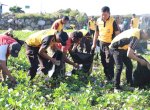 Sambut Hari Lingkungan Hidup Sedunia, Polres Bantaeng-Huadi Group Kompak Bersihkan Pantai