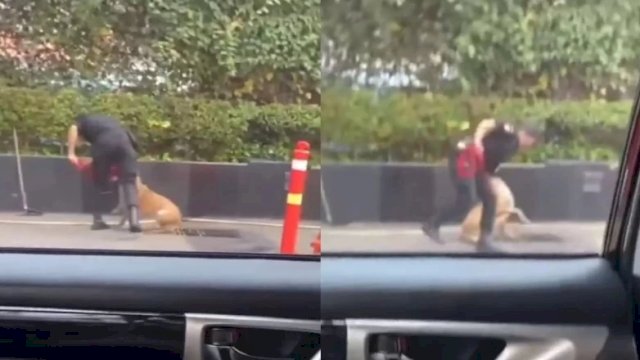 Seorang sekuriti mal Plaza Indonesia pukuli anjing penjaga. (Foto: X @moonchildfams)