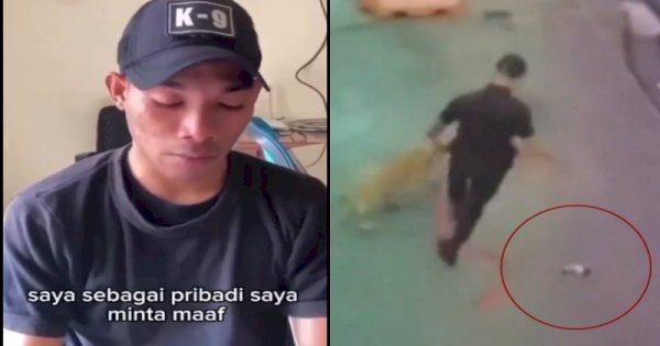 Klarifikasi Sekuriti Plaza Indonesia Pukul Anjing Penjaga, Ternyata Ini Alasannya