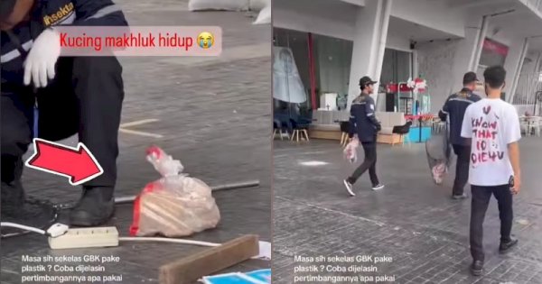 Viral Relokasi Kucing Pakai Karung Plastik yang Diikat, Ini Respon Pengelola GBK