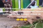 Viral Pria Mualaf di Papua Bawa Seekor Babi ke Mesjid Sebagai Hewan Kurban 