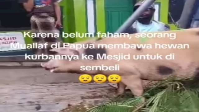 Seorang pria mualaf mengantarkan babi ke masjid untuk disembelih sebagai hewan kurban. (Foto: Instagram @fakta.indo)