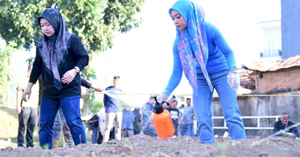 Turut Bantu Cegah Inflasi, PDAM Makassar Tanam 1000 Bibit Cabai