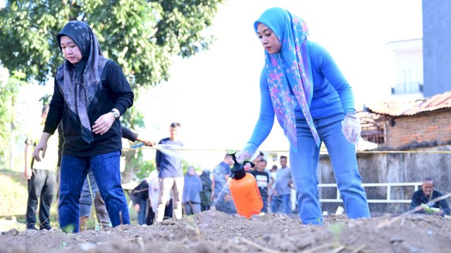 Turut Bantu Cegah Inflasi, PDAM Makassar Tanam 1000 Bibit Cabai