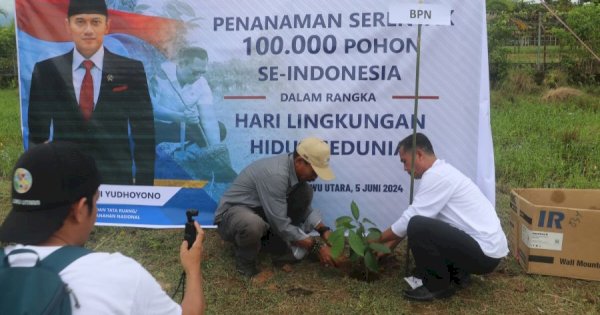 Di Hari Lingkungan Hidup Sedunia, DLH Lutra Tanam Pohon di Kawasan Terminal