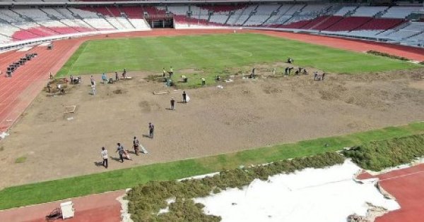 Penampakan Lapangan SUGBK Yang Dirombak Jelang Ronde Ketiga Kualifikasi Piala Dunia