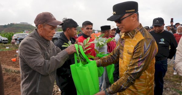 Pemprov Sulsel Bantu Petani di Gowa, Serahkan 350 Ribu Bibit Kopi dan 250 Ribu Pohon Pala 