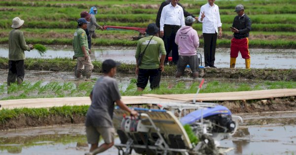 Kunker di Bone, Petani Sebut Jokowi dan Mentan Amran Berkah Bagi Kemajuan Pertanian Indonesia