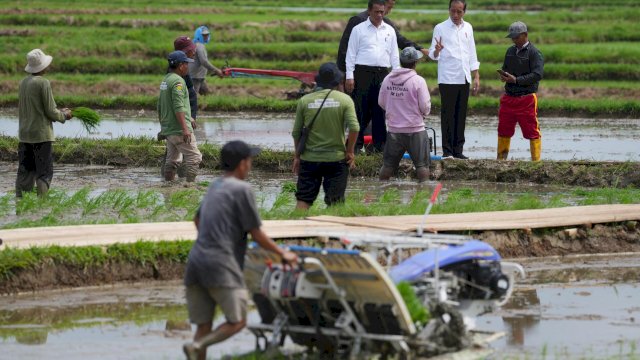 Kunker di Bone, Petani Sebut Jokowi dan Mentan Amran Berkah Bagi Kemajuan Pertanian Indonesia