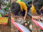 Viral Pria Jualan Bakso di Puncak Gunung Lorokan, Harga Tuai Sorotan