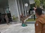 Presidium MW Kahmi Sulsel Kecam Oknum Satpol PP Sulbar Injak-injak Bendera HMI