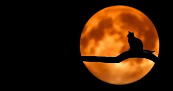 Fakta-Fakta Unik Malam 1 Syuro yang Jatuh pada 6 Juli 2024