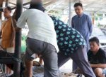 Rutin Dilaksanakan di Hari Raya Idul Adha, Bapenda Makassar Sembeli Hewan Kurban 