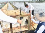 Presiden Jokowi Tinjau Pompanisasi di Lampung Selatan, Dorong Produktivitas Pertanian