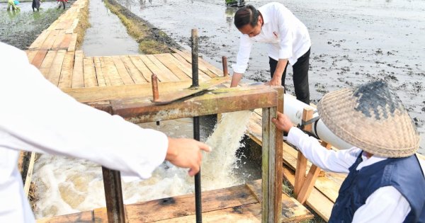 Presiden Jokowi Tinjau Pompanisasi di Lampung Selatan, Dorong Produktivitas Pertanian