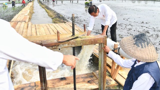 Presiden Jokowi Tinjau Pompanisasi di Lampung Selatan, Dorong Produktivitas Pertanian