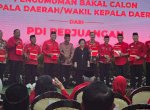 PDIP Resmi Serahkan Rekomendasi Usungan Danny Pomanto Maju Pilgub Sulsel