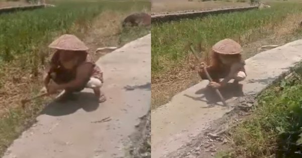 Viral Emak-emak Hancurkan Jalan yang Sudah Dicor, Tak Terima Dibangun di Tanah Miliknya 