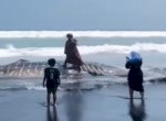 Viral Emak-emak Nekat Foto di Atas Bangkai Paus yang Terdampar, Netizen: Takut Meledak