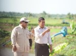 Mentan Amran Dampingi Presiden Prabowo Tinjau Program Cetak Sawah di Merauke