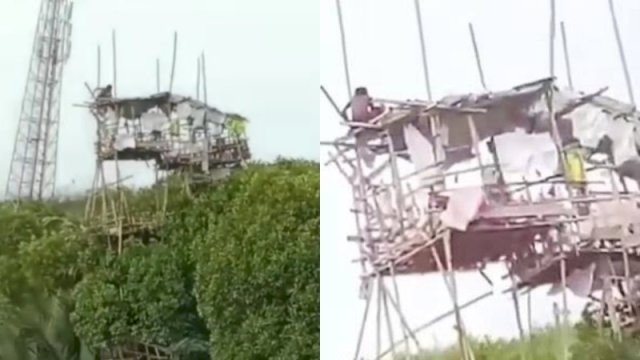 Seorang pria ODGJ membangun rumah kayu bertingkat di pinggir pantai di Kebumen. (Foto: Instagram @fakta.indo)