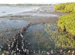 Ratusan Pemuda dari Berbagai Latar Tanam 2000 Bibit Mangrove di Binanga Sangkara Maros