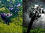 Peneliti Temukan Hutan Purba dalam Lubang Raksasa