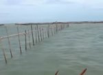 KKP Tanggapi Soal Munculnya Pagar Laut Misterius di Perairan Tanggerag 