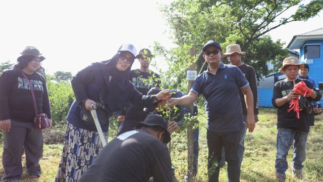 Peringati HPSN 2025, DLH Makassar Tanam Puluhan Pohon Ketapang Kencana di TPS 3R Untia