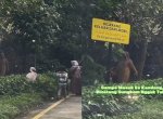 Viral Pengunjung Taman Safari Bogor Nekat Keluar Mobil dan Keluyuran di Area Berbahaya