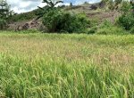 Petani di Pinrang Dipaksa Gagal Panen Akibat Pemda Beri Izin Penambang