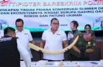 Polri Ungkap Penjualan Gading Gajah Hingga Patung Ukiran Senilai Rp 2,3 M 
