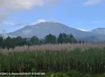 Gunung Raung Erupsi, Warga Jember Diminta Waspada