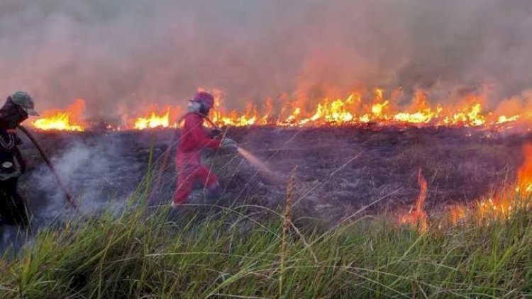 Soroti Sindiran Negara Tetangga, Legislator Minta Prabowo Tindak Tegas Perusahaan Pemicu Karhutla