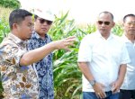 Wali Kota Parepare Dampingi Pihak PT KIMA Tinjau Lokasi Rencana Pembangunan KIPAS di Lapadde