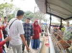 Dari Lorong ke Lahan, Urban Farming Jadi Gaya Baru Makassar