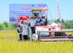 Panen Raya dan Bantuan Rp1,32 Miliar untuk Petani Maros