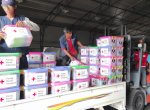 PMI Pusat Kirim Bantuan Logistik untuk Respon KLB Campak di Sumenep