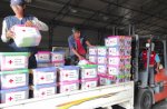 PMI Pusat Kirim Bantuan Logistik untuk Respon KLB Campak di Sumenep