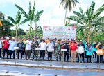 Sulsel Hadirkan Kebun Hortikultura di Bone Untuk Dukung Program MBG