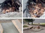 Gerak Cepat Perbaiki Jalan yang Berlubang, Pengguna Jalan Ucapkan Terimakasih Ke Bupati Takalar 